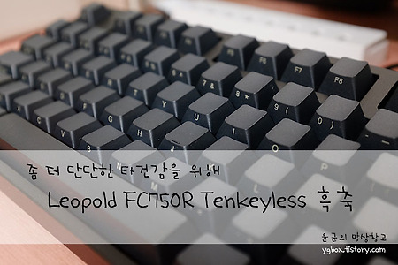 [개봉기] 기계식 키보드 레오폴드 FC750R Tenkeyless 흑축(리니어)