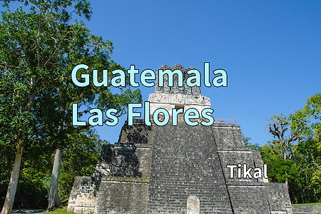 2017 과테말라 여행기 9, 라스 플로레스(Las Flores) 띠깔(Tikal)