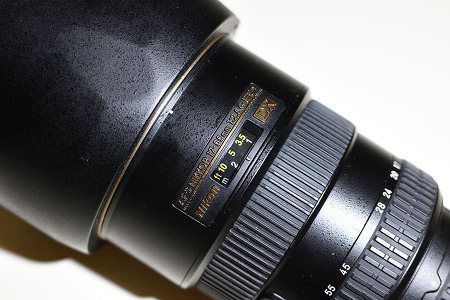 니콘 크롭 렌즈 끝판왕 AF-S DX Zoom Nikkor ED 17-55mm F2.8G(IF) 구입