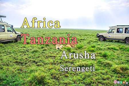 2018년 아프리카 여행기 18, 탄자니아(Tanzania) 세렝게티 (Serengeti) 국립공원 (Serengeti National Park)