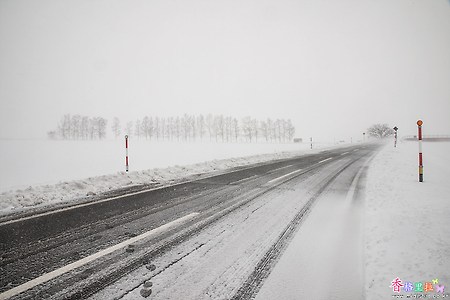 [일본] 눈발 날리는 비에이