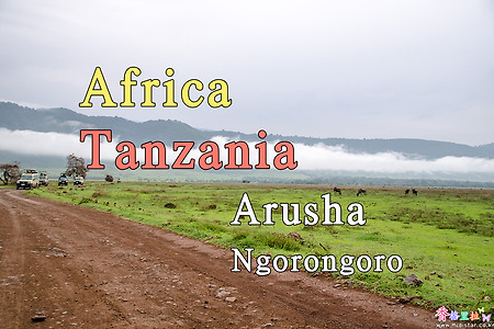 2018년 아프리카 여행기 20, 탄자니아(Tanzania) 세렝게티 (Serengeti) 응고롱고로(Ngorongoro)
