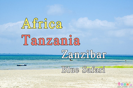 2018년 아프리카 여행기 25, 탄자니아(Tanzania) 잔지바르(Zanzibar) 불루 사파리(Blue Safari)