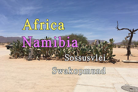 2018년 아프리카 여행기 48, 나미비아 소수스블레이(Sossusvlei)에서 스와콥문트(Swakopmund)로