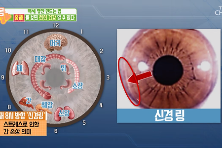 오른쪽 눈의 홍채로 '전신 건강상태' 체크하는 방법