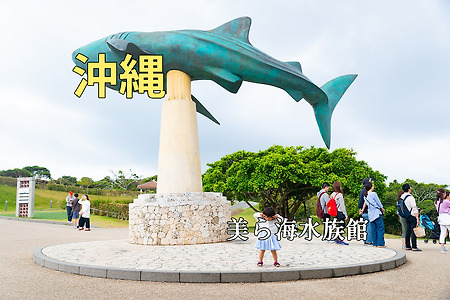 2018년 일본 오키니와(沖縄) 여행기,추라우미 수족관(美ら海水族館)