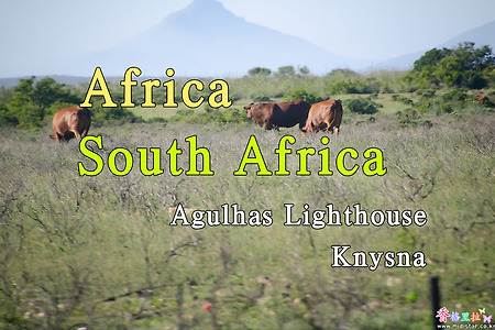 2018년 아프리카 여행기 58, 남아공 아굴라스 등대(Agulhas Lighthouse)에서 나이스나(Knysna)로