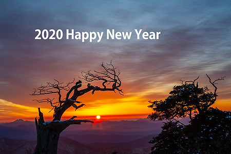 2020 Happy New Year!!!
