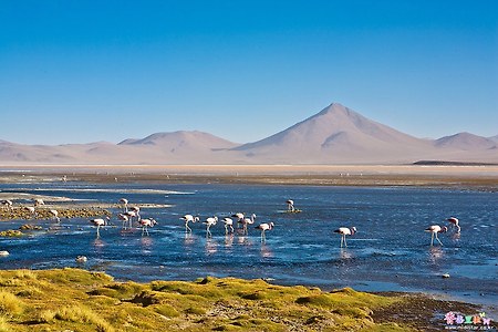 [볼리비아] 꼴로라도 호수(Lago Cololado)