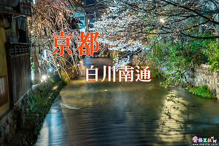 2017 일본 교토 여행기 2, 교토 시라가와 미나미도리(白川南通) 벚꽃 야경