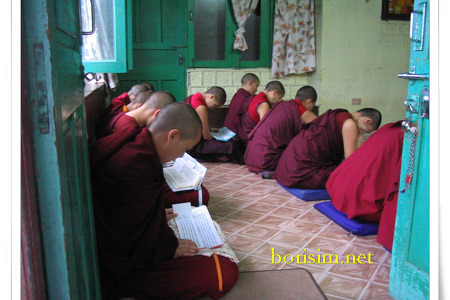 인도속의 티벳사원 제 9탄- 다람살라의 비구니 사원