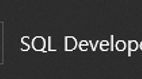 Oracle Sql Developer 실행 안됨 현상 및 java.exe잘못 맵핑 해결 방법