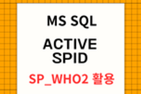 Active SPID 확인