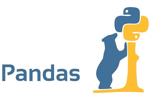 [Pandas] Datacamp - Clean a variable