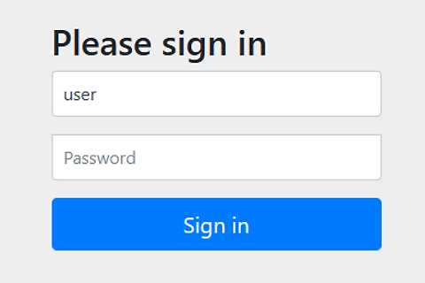Spring Security 1