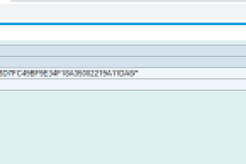 SAP Web Dispatcher URL 필터