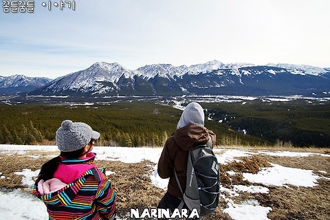 [Alberta/Kananaskis] Coal Mine Scar - 6km