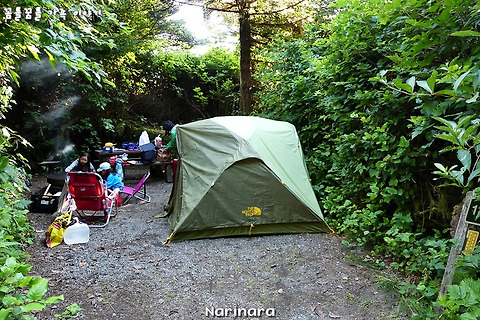 [British Columbia/Pacific Rim National Park] The Ultimate Vancouver Island Road Trip, Day 3 - Green Point Campground