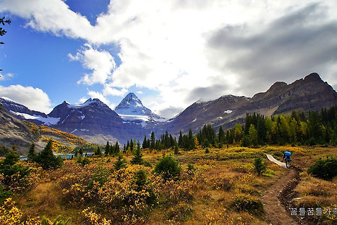 [BC/Mount Assiniboine Provincial Park] Assiniboine Backpacking Trip - Day 2, Assiniboine Pass&Magog Lake Campground, 12km