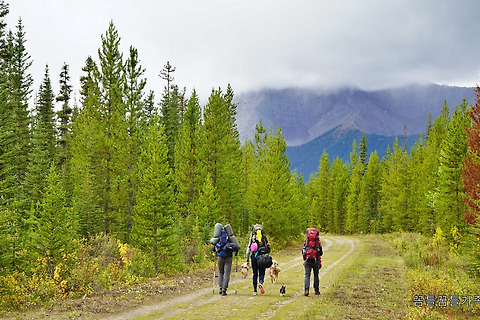 [BC/Mount Assiniboine Provincial Park] Assiniboine Backpacking Trip - Day 1, Bryant Creek Trail, 13.3km