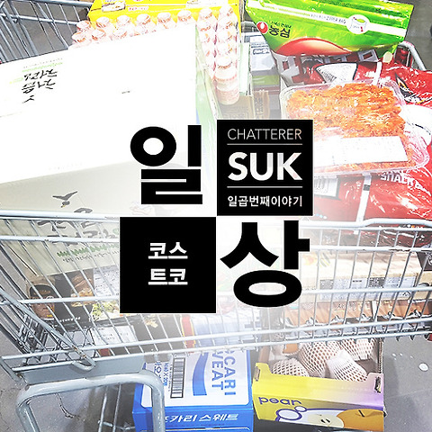 카테고리글
