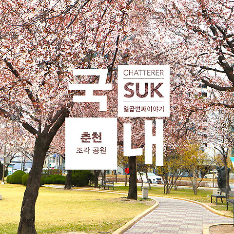 카테고리글