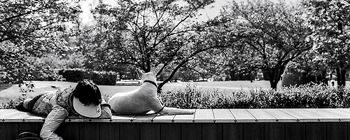 Fomapan Classic 100 + Nikon F6