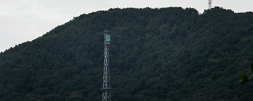 초록색 등의 정체..