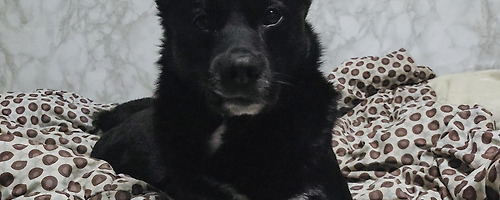 Jack 240305