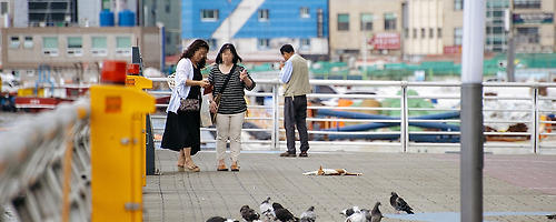 뉴 페이스~