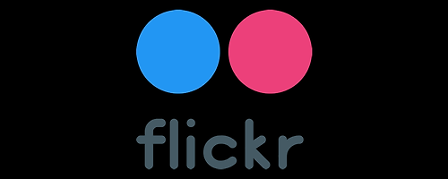 Flickr에서 날아온 편지 한 통..
