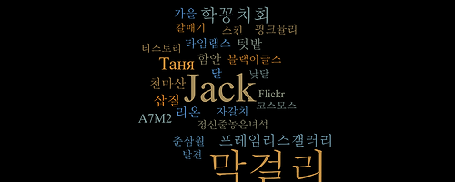 땀똔즈블로그 - 2019 결산!