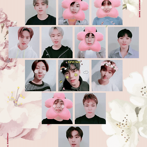 舞い落ちる花びら Fallin Flower Making