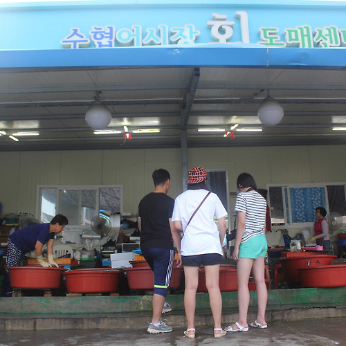 수협어시장회도매센타 태그의 글 목록