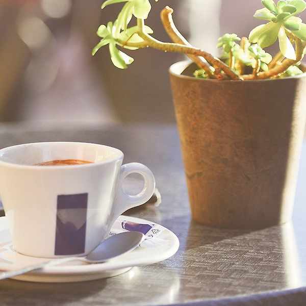 T전화 테마 적용이 되지 않을 때 해결 방법