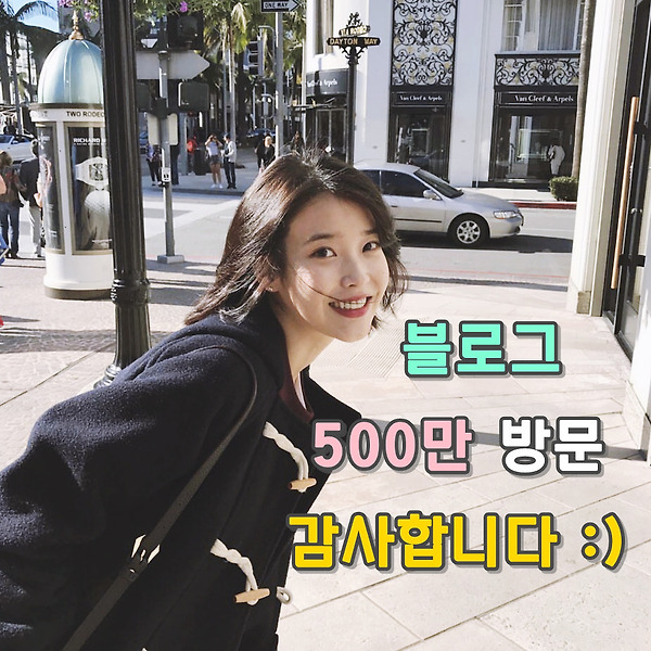 블로그 500만 방문 감사드립니다