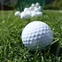 파크볼과 파크골프채의 차이와 선택 관리 팁으로 시작하기