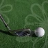 파크골프채 선택과 벌초대행가격의 숨은 연관성, 그리고 예산 팁