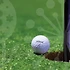 파크볼의 매력과 파크골프장을 이끄는 최신 트렌드