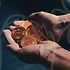 2023년 주목할 다이어트 프로그램, 당신의 선택은?