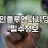 온라인 마케팅, 책에 없는 실무 현장의 민낯과 고민들