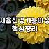 불안하다는 마음이 일상에 미치는 영향과 조절하는 법