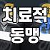 심리치료를 고민할 때 알아야 할 현실적인 선택 기준