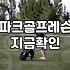 스크린 파크골프, 무작정 시작하기 전에 알아야 할 솔직한 현실