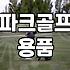 파크골프채 길이 선택이 실력에 미치는 영향과 기준