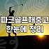 피닉스파크골프채 중고 고민과 입문의 현실적인 문턱