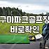 잔디보호매트 위에서 하염없이 대기하다가 돌아왔다