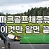 입문용 파크골프채 고를 때 후회 없는 선택 기준과 브랜드별 특징