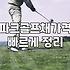 파크골프 입문할 때 고민되는 장비 선택과 전국 골프장 이용 시 알아둘 점