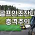 마당에 깔아본 골프인조잔디, 현실적인 설치 비용과 예상외의 관리 포인트
